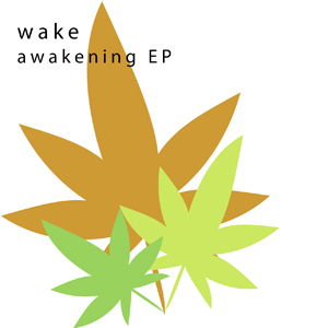 wake awakening EP